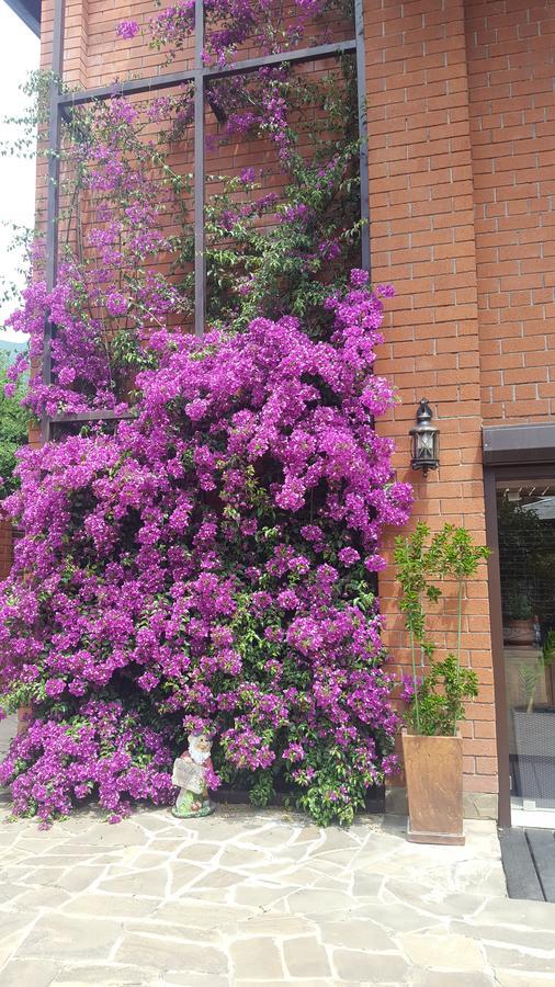 Guest House Belweder غاغرا المظهر الخارجي الصورة